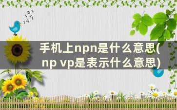 手机上npn是什么意思(np vp是表示什么意思)